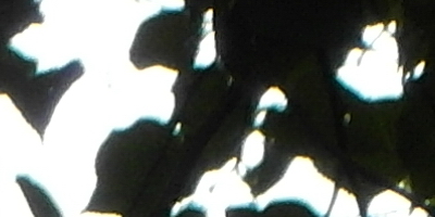 Samsung WB850F: fotící bezdrátová navigace?