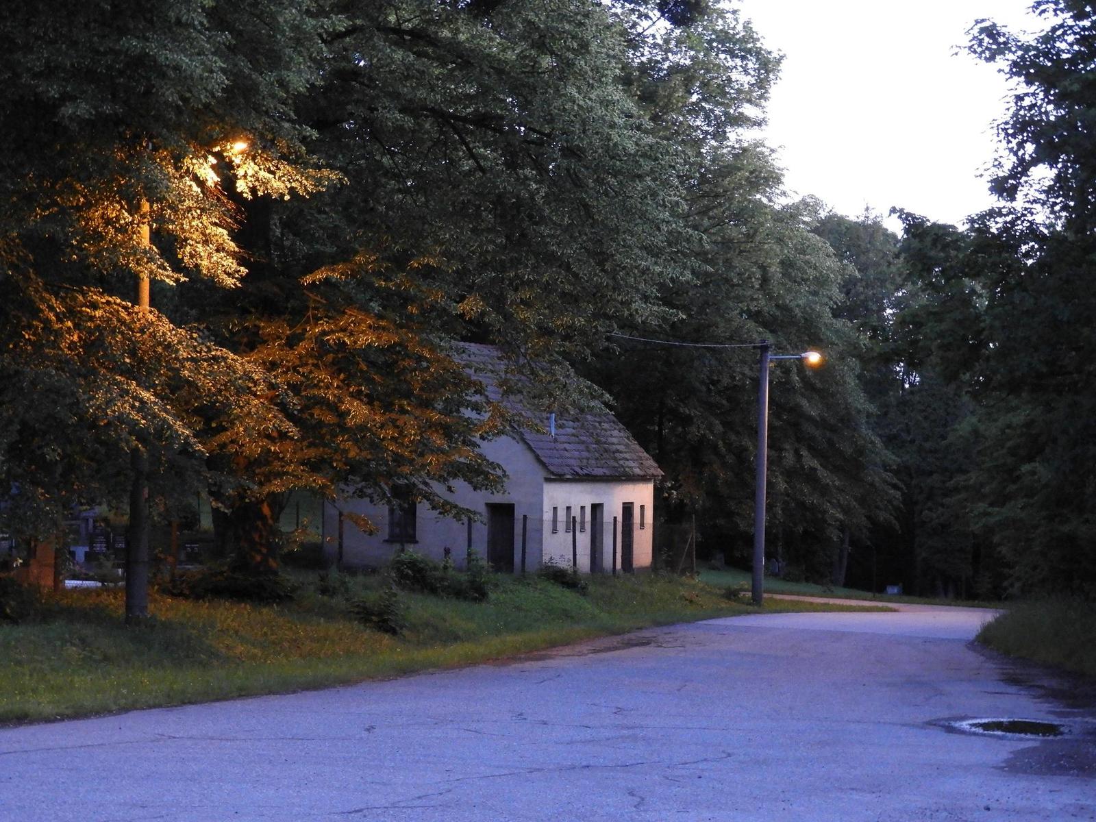 Nikon Coolpix B700: přírodovědec