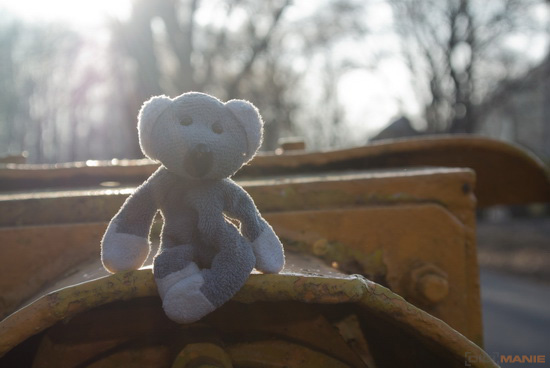 Fotíme s Koalou: Sluneční clona