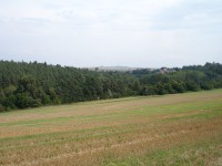 Sony Cyber-shot DSC-P200: Půlkruhová sedmička