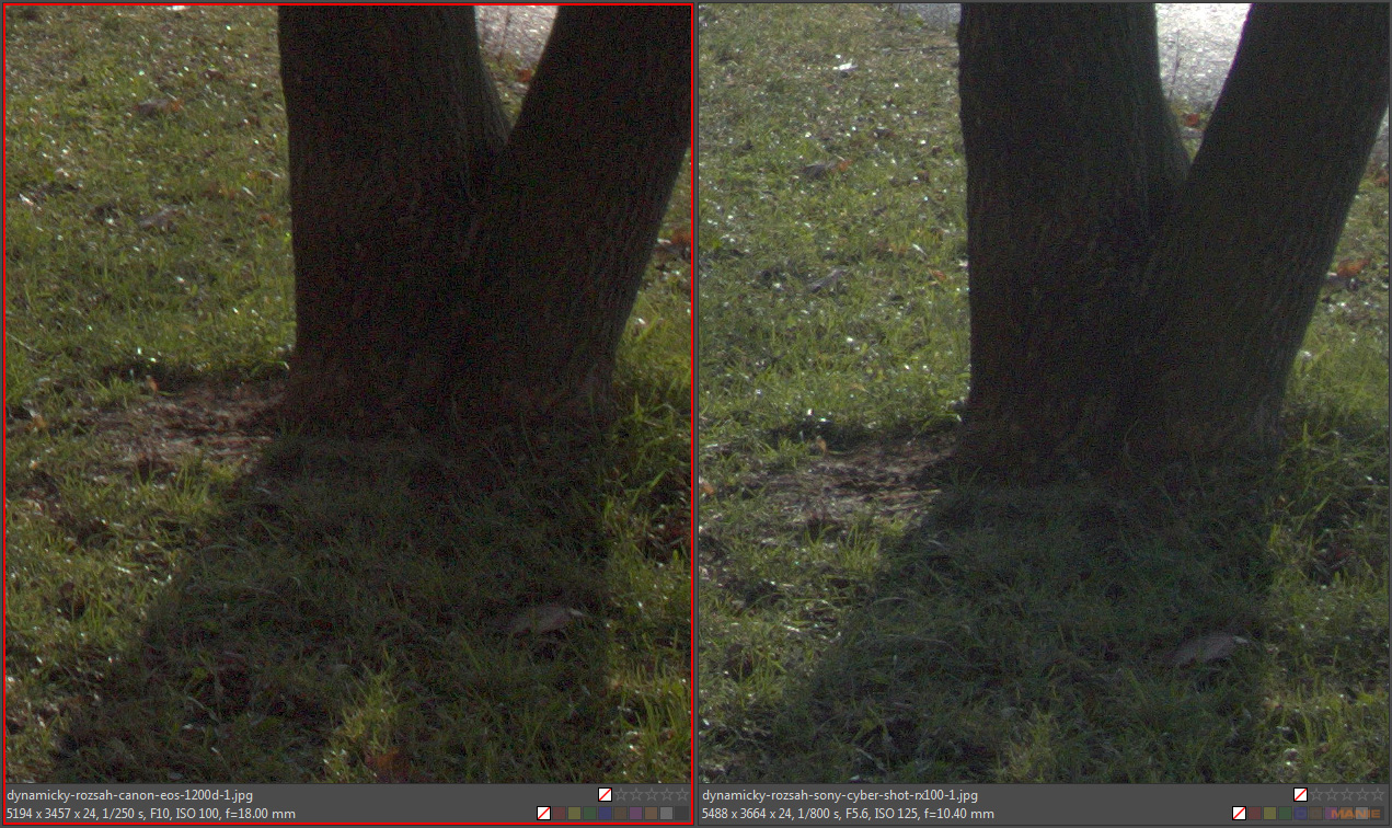 DSLR vs kompakt: Canon EOS 1200D s 18-55mm, Sony RX100