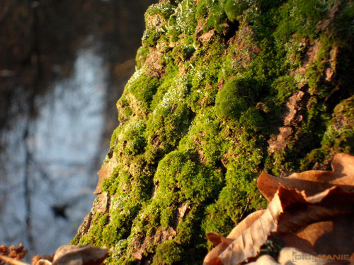 Samsung ST550: jedno LCD nestačí