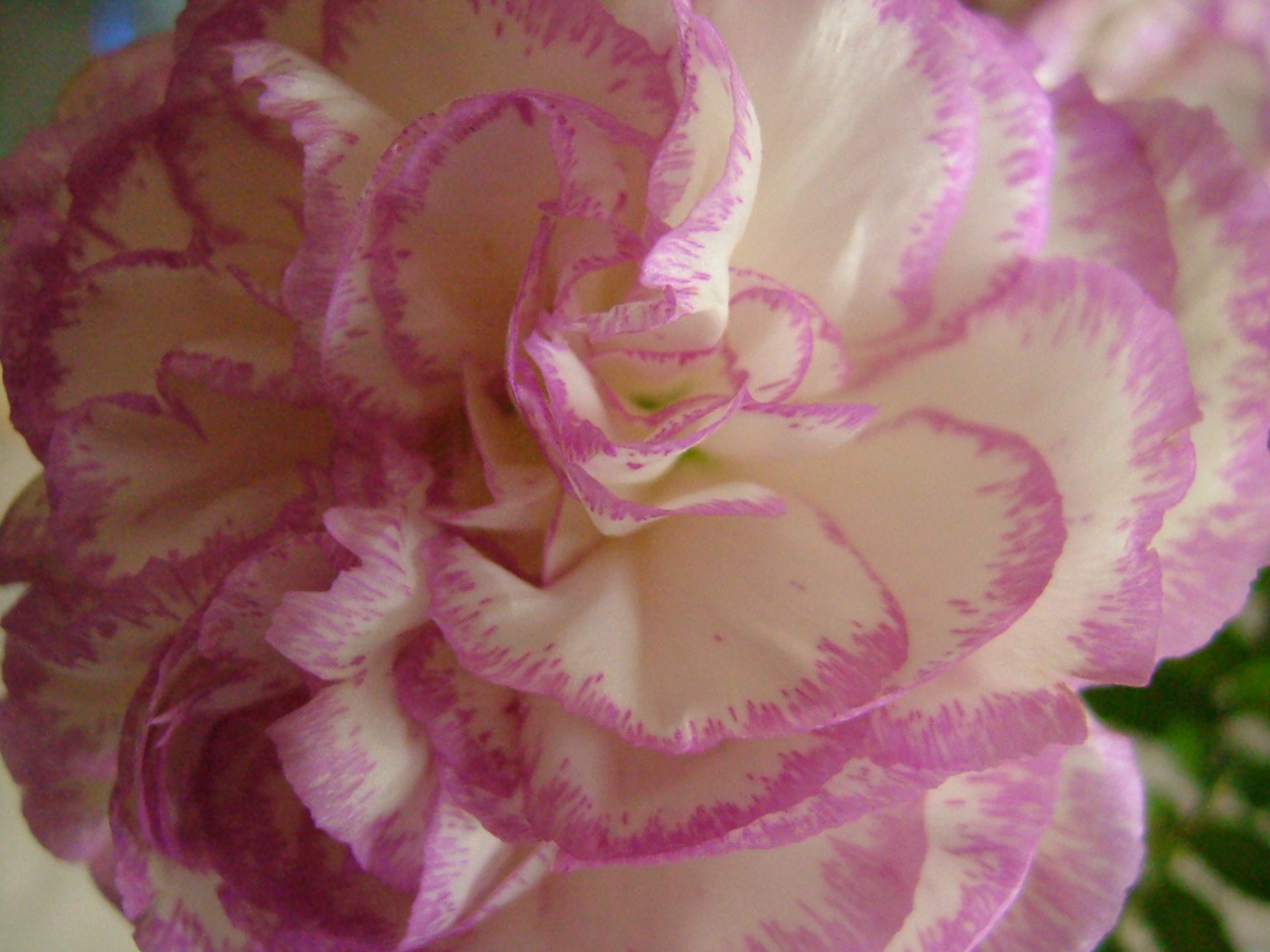 FinePix F420: drobeček s velkým obrazovým výkonem