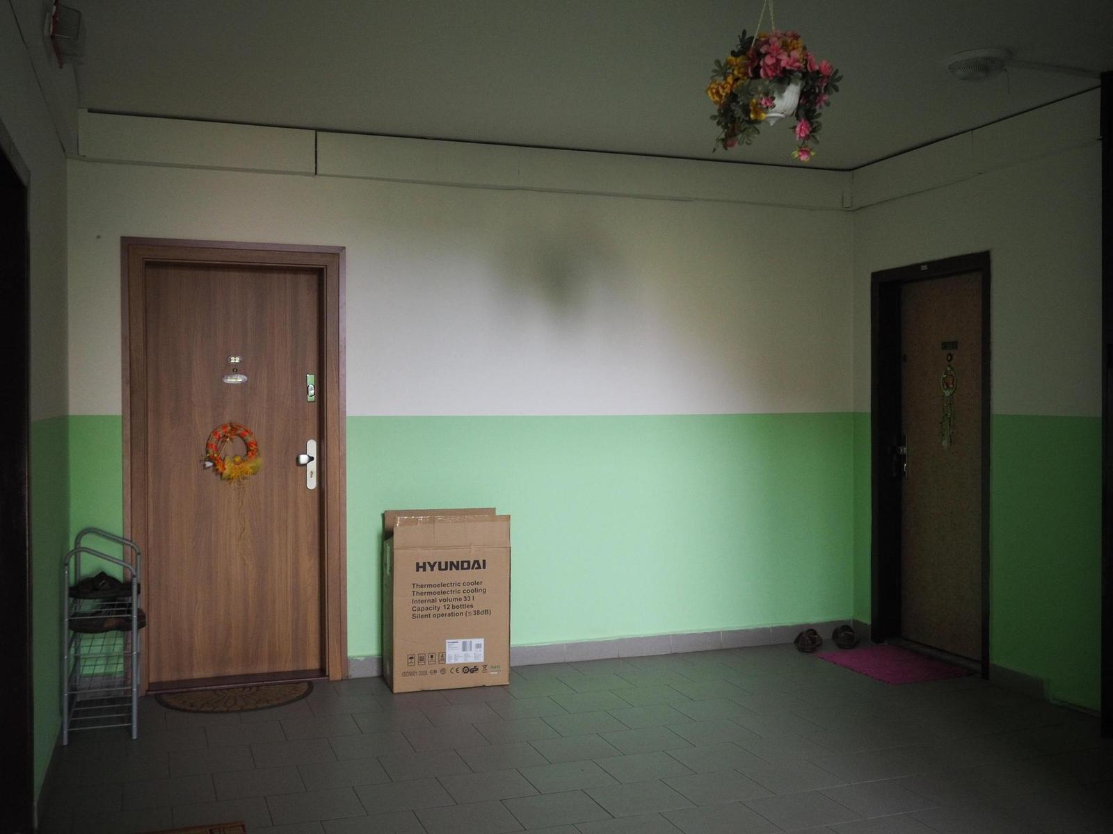 Olympus M.Zuiko Digital 17mm 1:1.8