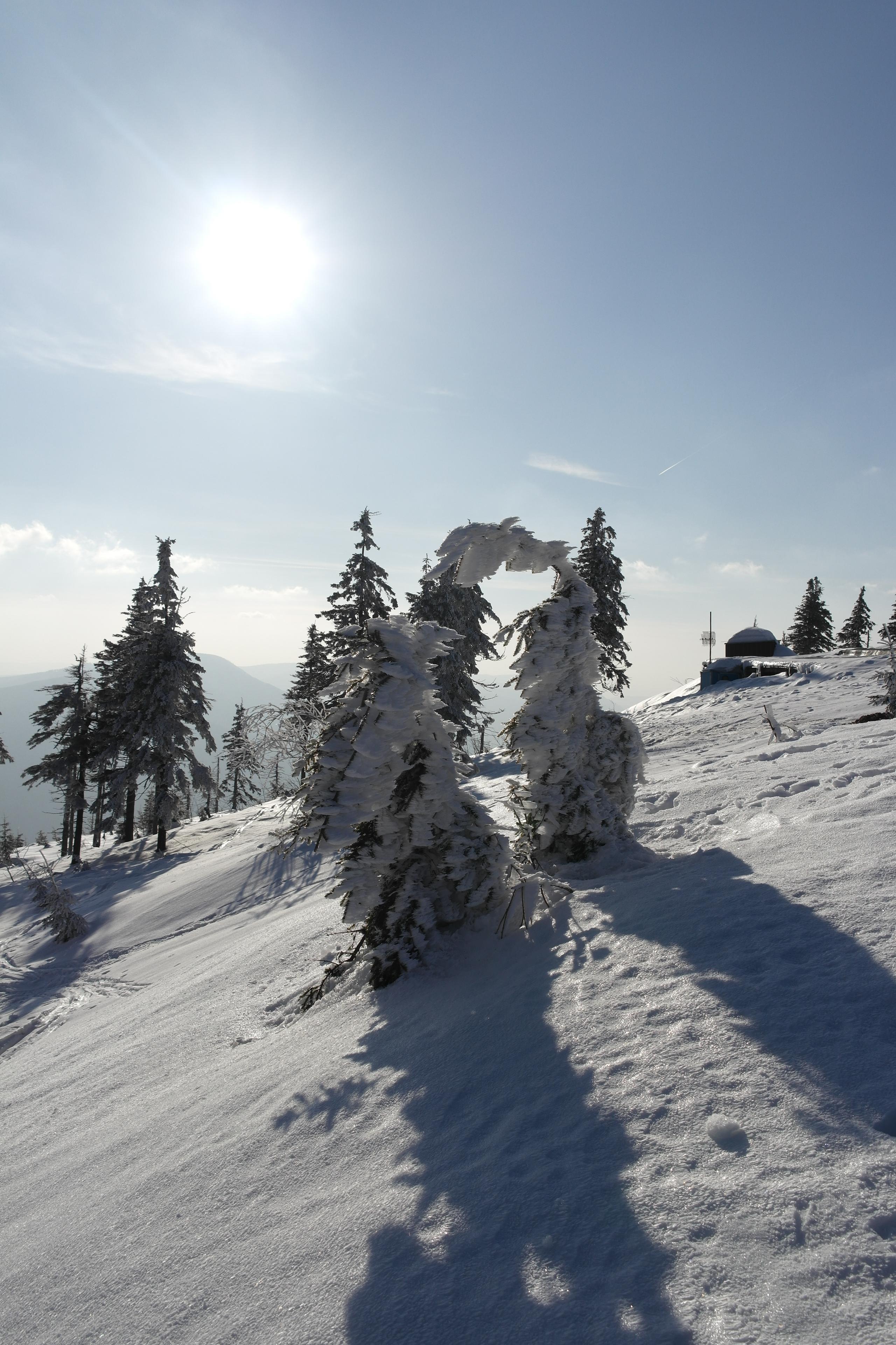 Samsung NX200: 20 mega v útoku