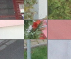 Canon EOS 550D: třídní premiant