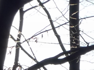 Panasonic Lumix LX3: nejtajnější přání vyslyšena