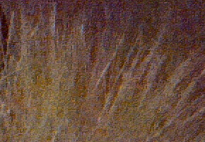 Samsung EX2F: významný krok vpřed