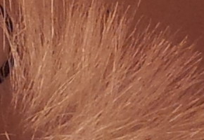 Samsung Galaxy S II: přemožitel kompaktů?