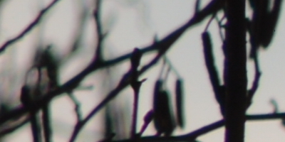 Nikon AF-S NIKKOR DX 55-300mm 1:4.5-5.6G ED VR