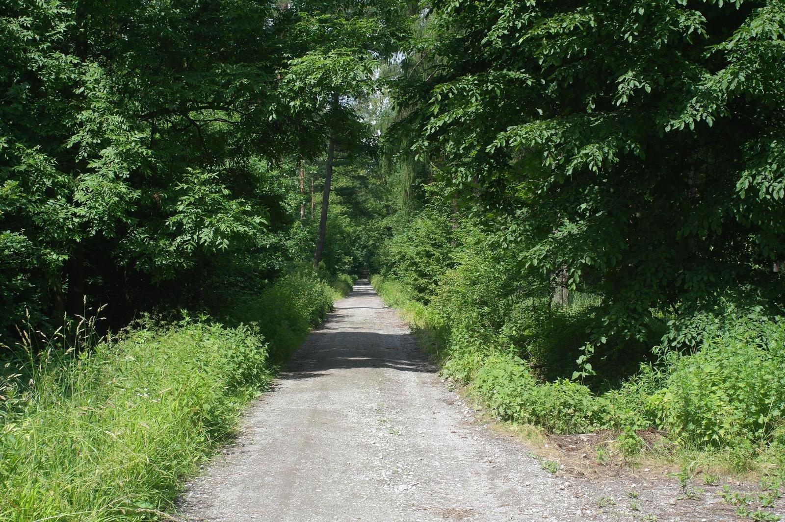 Canon FL 35mm 1:2.5 (FL/FD)