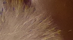 Panasonic Lumix TZ70: krůček k profi ultrazoomu