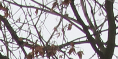 Samyang 35mm F1.4 AS UMC (pro Canon)