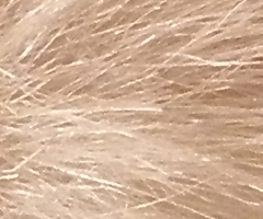 Olympus FE-370: stabilní zoom za hubičku