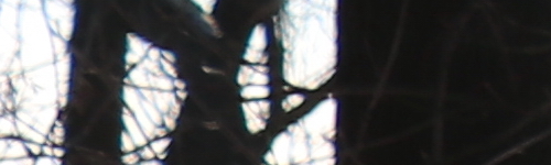 Canon EF-S 18-135mm f/3.5-5.6 IS Nano USM