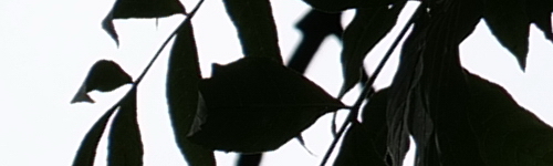 Panasonic Lumix S Pro 70-200mm F4 O.I.S.