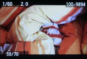 Canon EOS 60D: na pomezí dvou světů