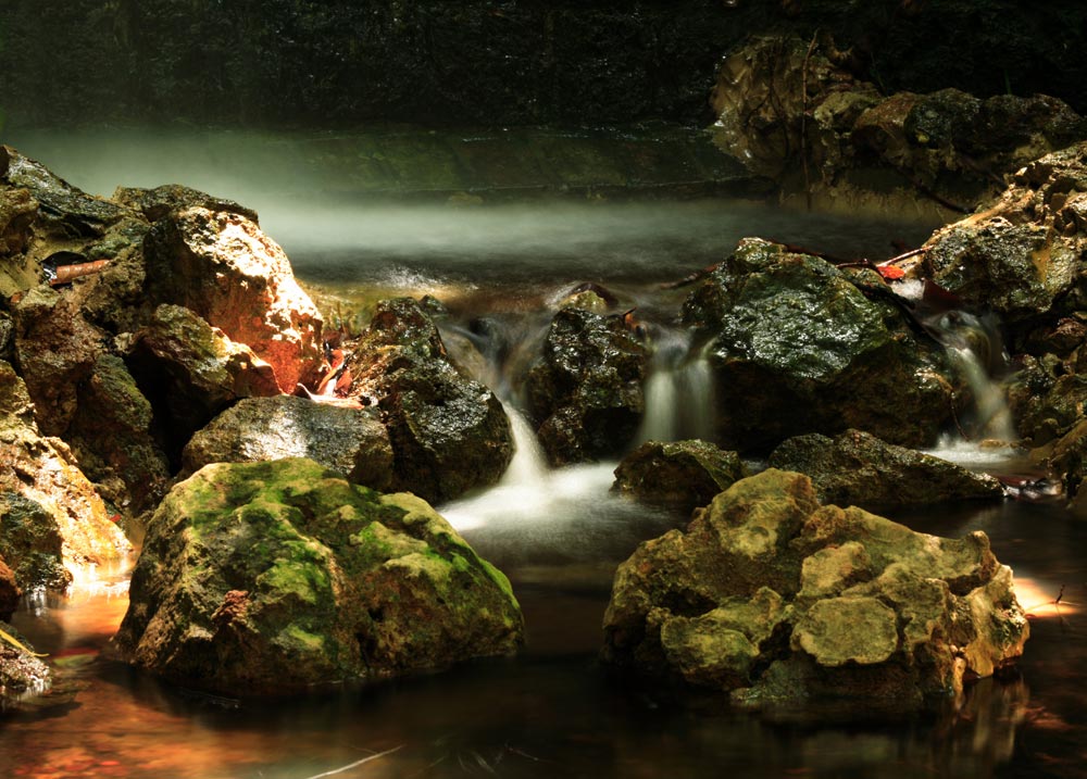 Cesta ke kvalitní fotografii: 1.díl