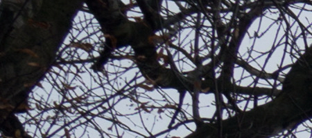 Sony DT 18-55mm 3.5-5.6 SAM II (SAL-1855-2)