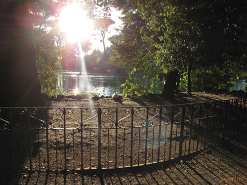 Canon PowerShot G10: stále mezi nejlepšími