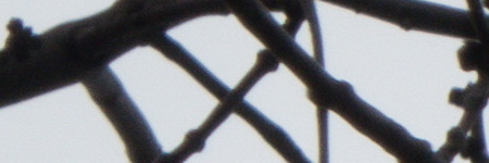 Panasonic Lumix TZ70: krůček k profi ultrazoomu