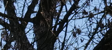 Panasonic Lumix S 20-60mm F3.5-5.6