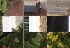 Nikon Coolpix B700: přírodovědec