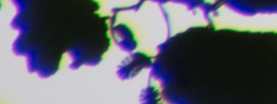 Tamron 16-300mm f/3.5-6.3 Di II VC PZD Macro