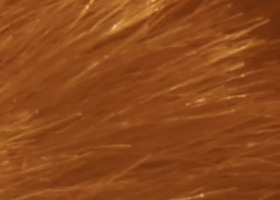 Sony Alpha SLT-A35: úspěšně proti zrcadlovkám