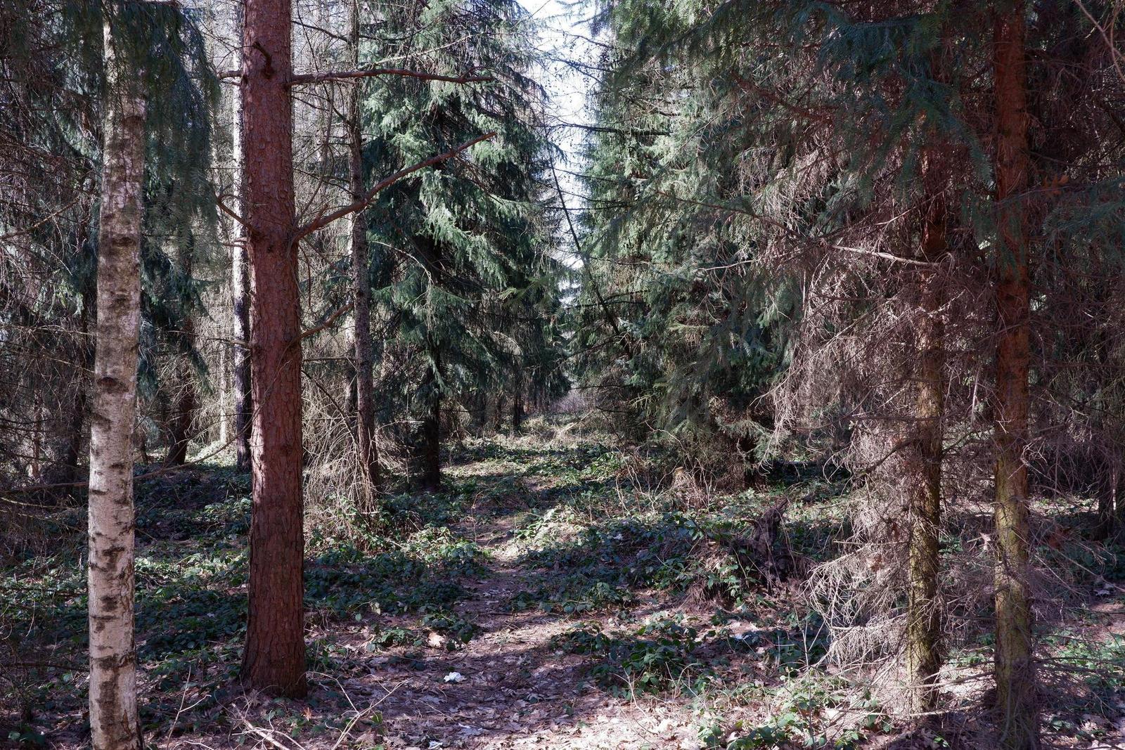 Fujinon XF 23mm F2 R WR