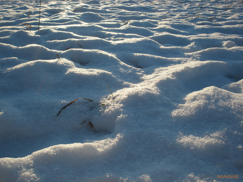 Olympus FE-370: stabilní zoom za hubičku
