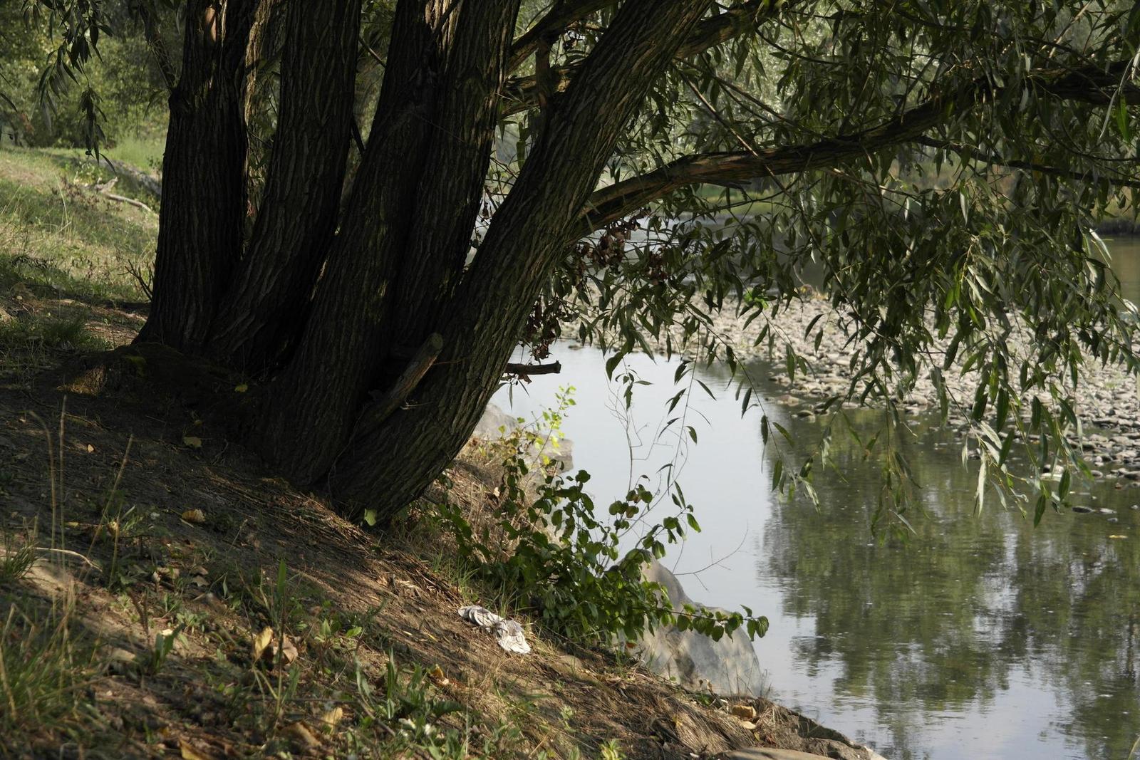 Samsung NX20: za více peněz více muziky