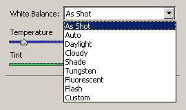 DSLR na cestě časem - 22. díl