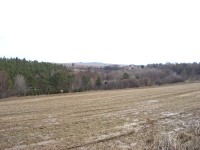 Casio Exilim Card EX-S600: Asijský plátek na fotografický způsob