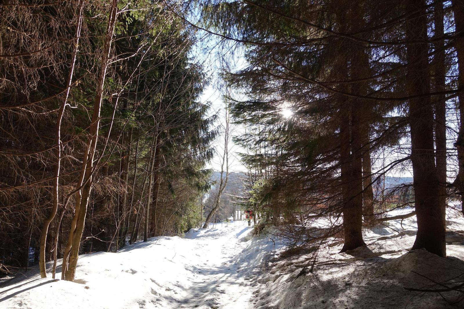 Sony Cyber-shot RX100 IV (RX100M4): zase o něco lepší