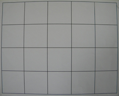 Nikon Coolpix L100: lovec hmyzu