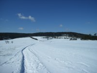 Caplio R1: Široká kompaktní náruč