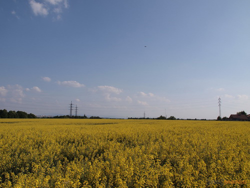 Olympus M.Zuiko Digital 14-150 mm F4-5,6