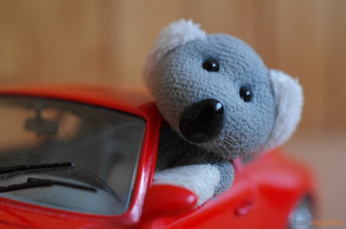 Fotíme s Koalou: Hloubka ostrosti