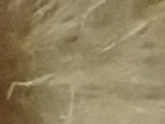 Sony Cyber-shot TX10: odolný zálesák