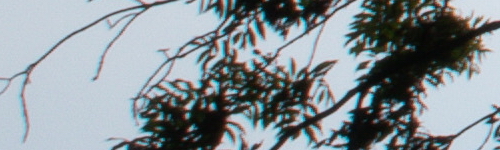 Canon EF-M 15-45mm f/3.5-6.3 IS STM