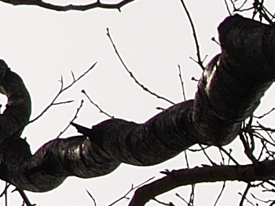 Postačí setový objektiv? Nikon vs. Sigma a Tamron