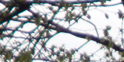 Olympus Stylus XZ-2: jednoduše skvělý