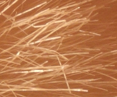 Canon EOS 500D: povedený pokračovatel rodu