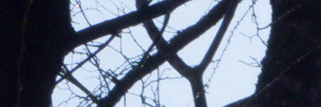 Olympus M.Zuiko Digital ED 14-42mm 1:3.5-5.6 EZ Pancake