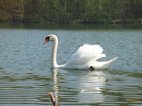Sony DSC-T300: stylových 10 MPx s dotykovým LCD