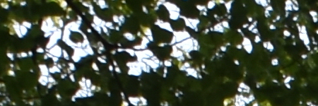 Tamron SP AF 10-24mm F3.5-4.5 Di II LD Aspherical IF