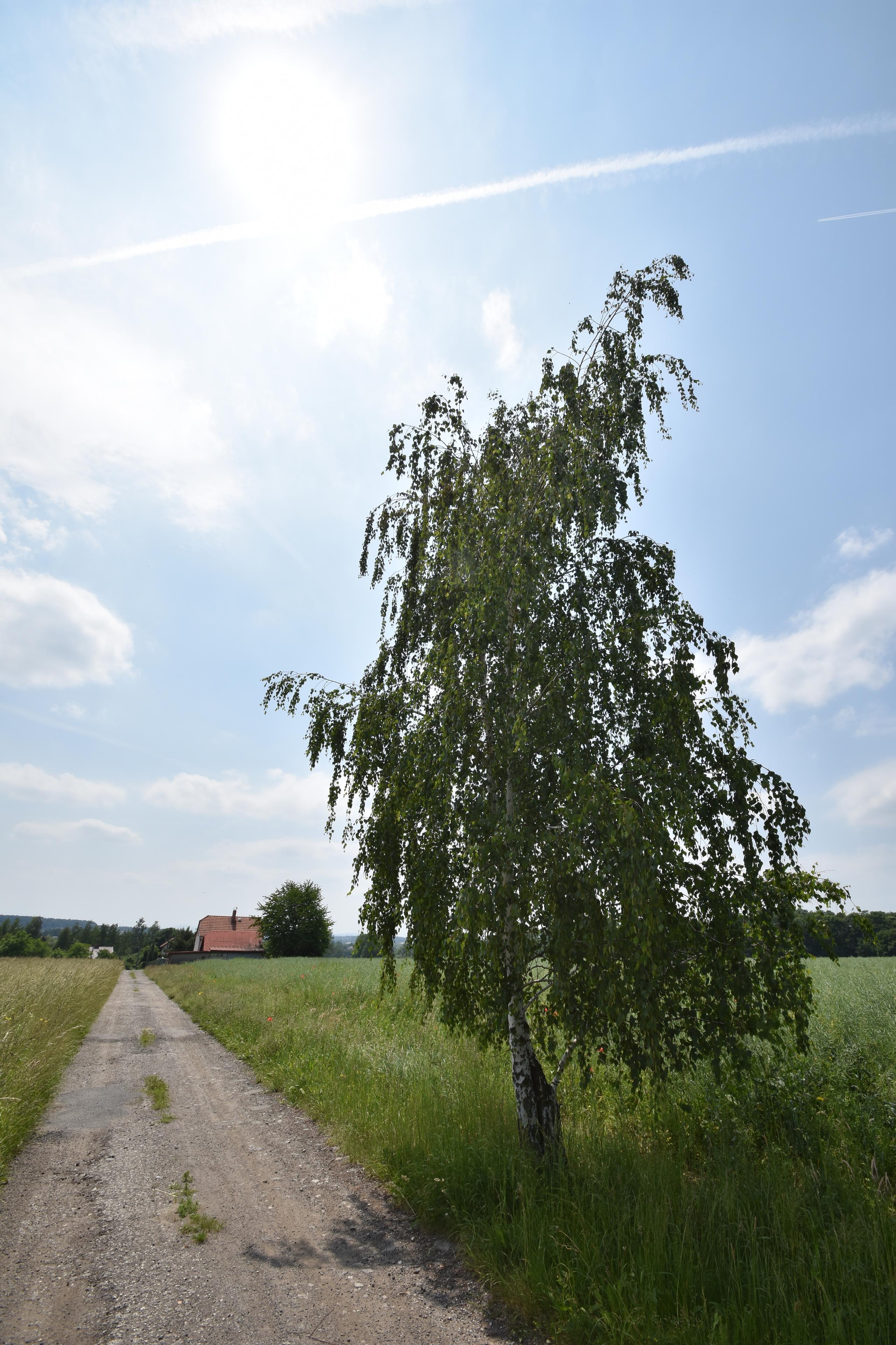 Tamron SP AF 10-24mm F3.5-4.5 Di II LD Aspherical IF