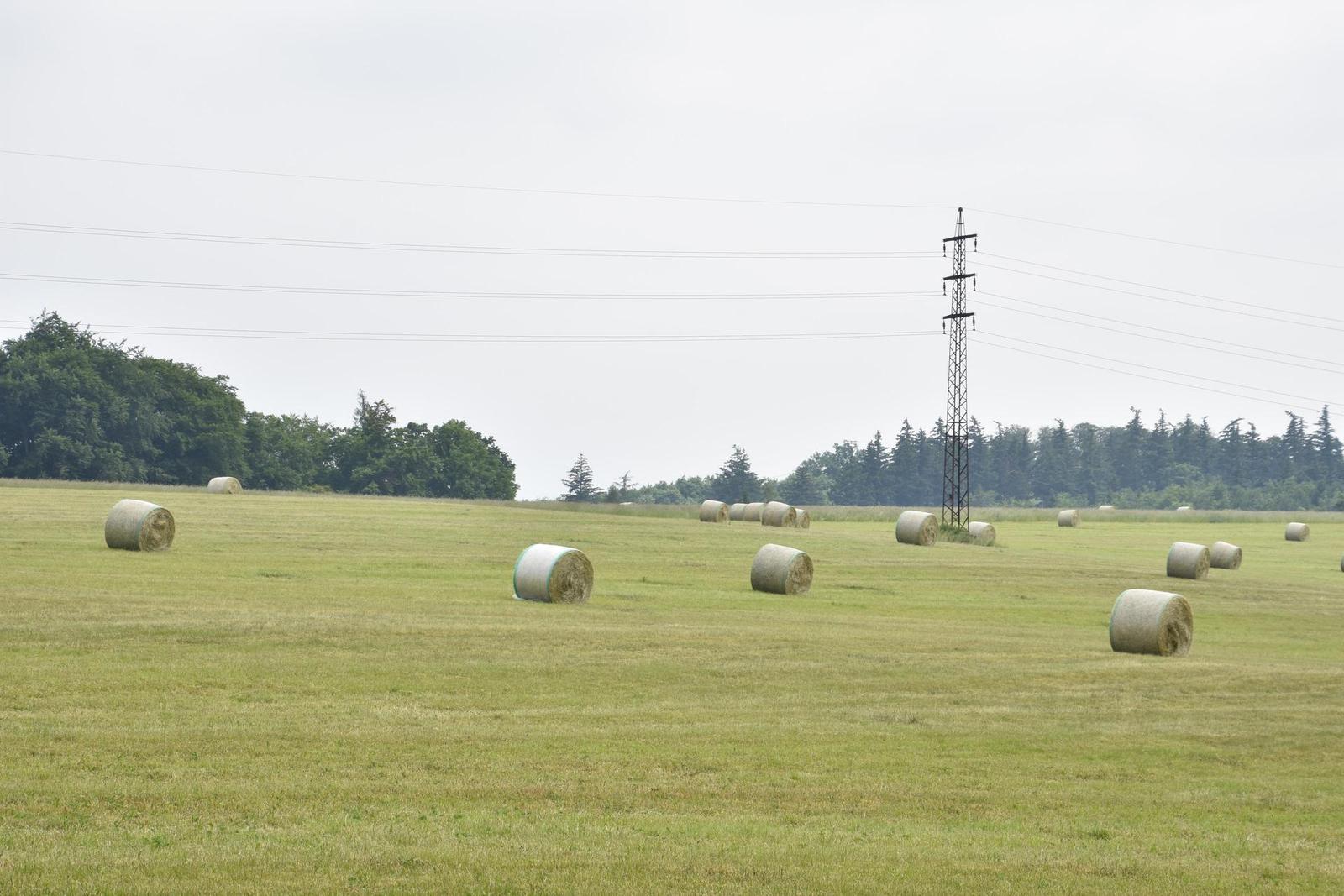 Tamron 16-300mm f/3.5-6.3 Di II VC PZD Macro