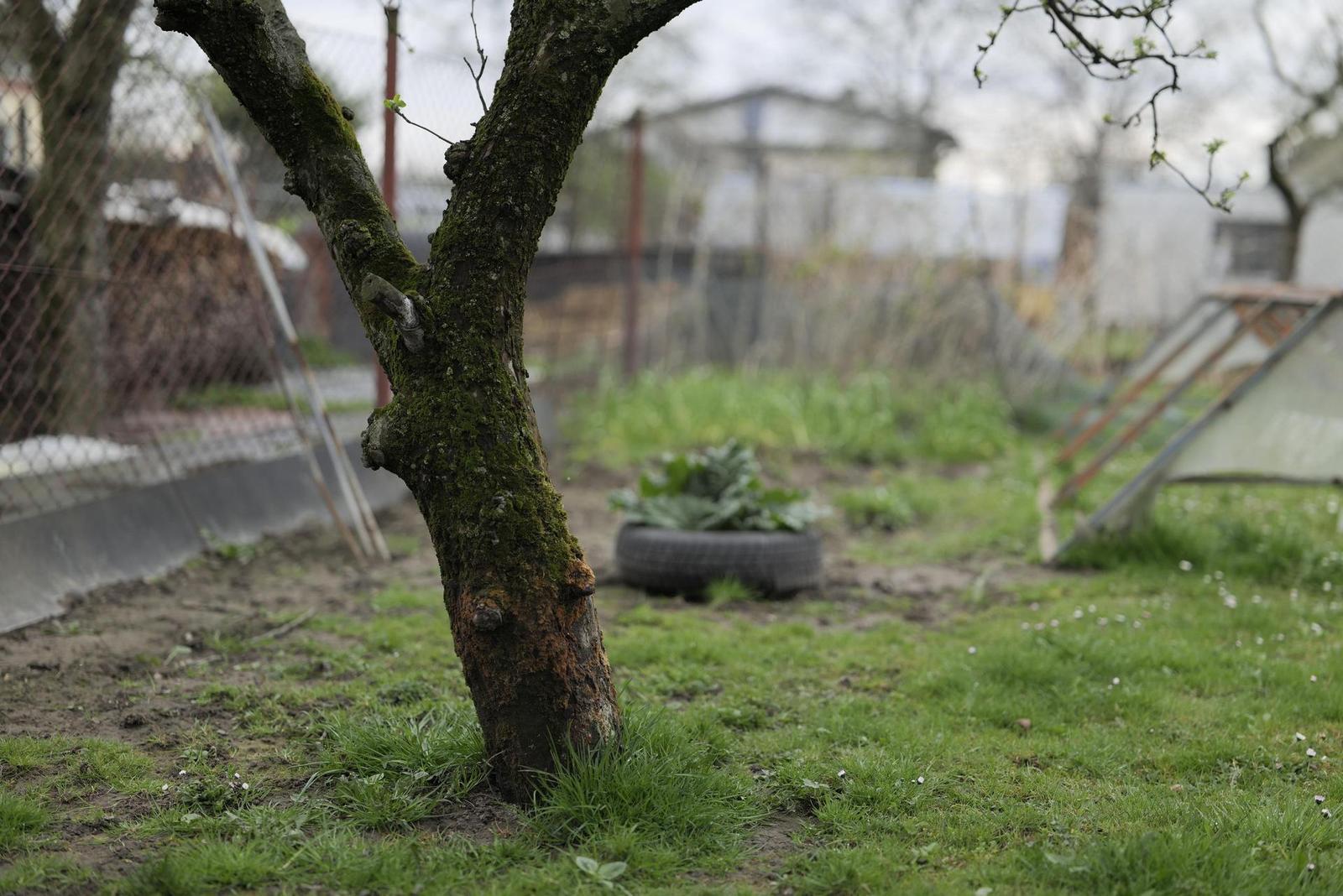 Panasonic Lumix S Pro 50mm F1.4